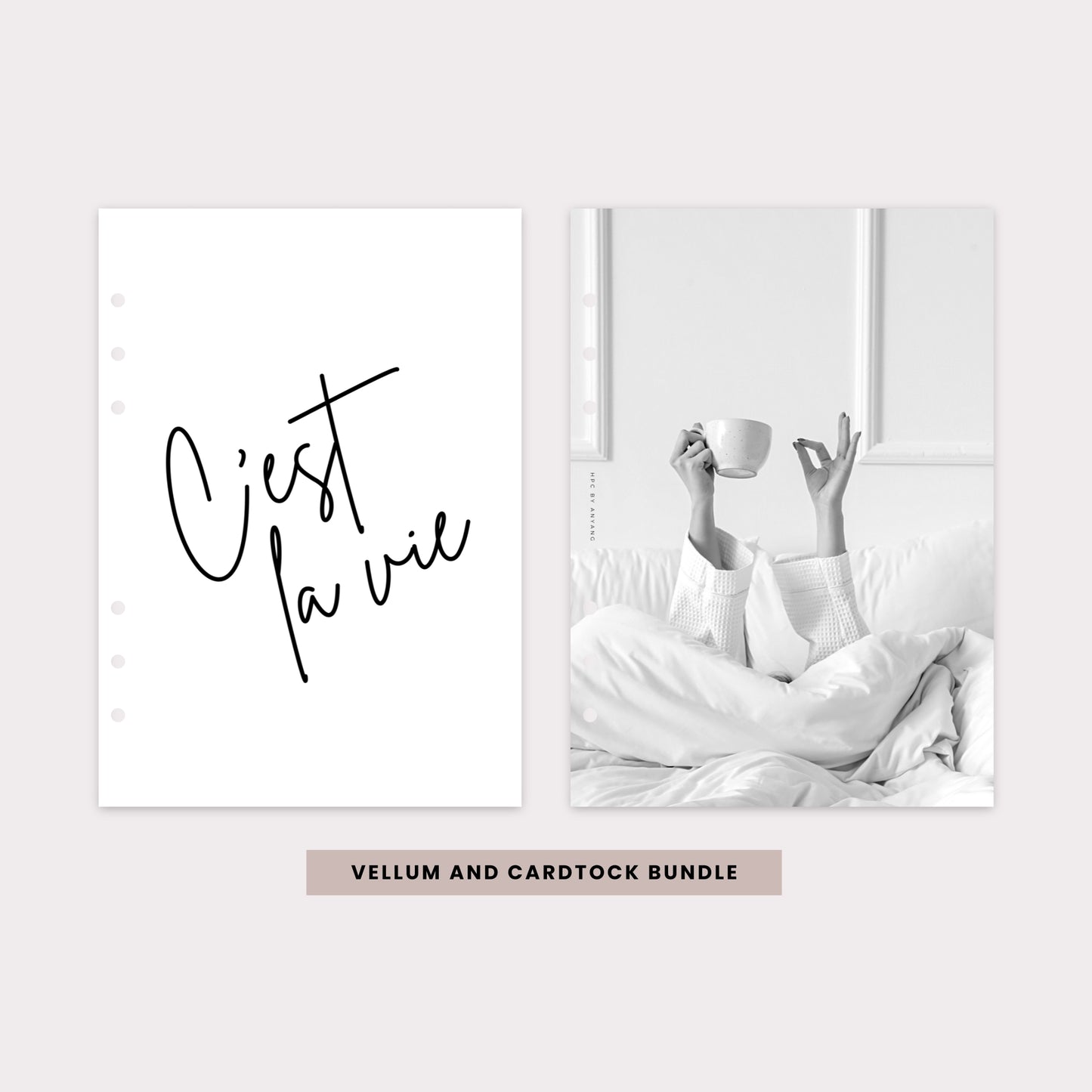 PD031 - Cést La Vie - Dashboard Set - Cardstock & Vellum Bundle
