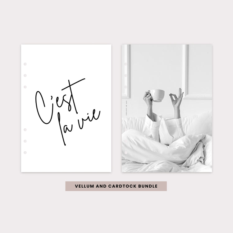 PD031 - Cést La Vie - Dashboard Set - Cardstock & Vellum Bundle