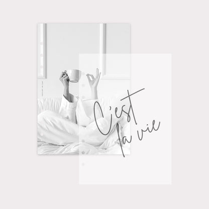 PD031 - Cést La Vie - Dashboard Set - Cardstock & Vellum Bundle